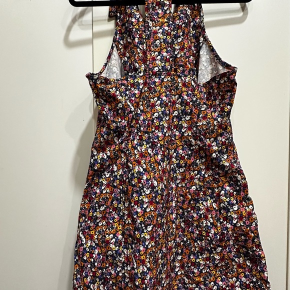 The Amelia Collared Mini Dress by Maeve - Picture 6 of 7